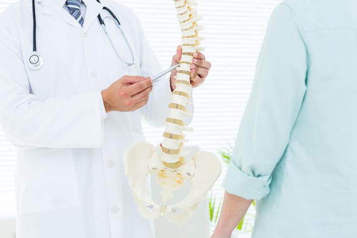 Doctor pointing to the spine of a skeleton to show where the spine is
